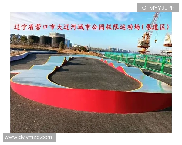 杨磊独家分享滑板技巧与心得体会助你快速提升滑板水平