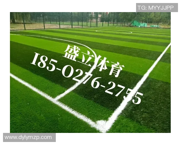 吴军独家解析足球技巧与战术分享助你提升球场表现