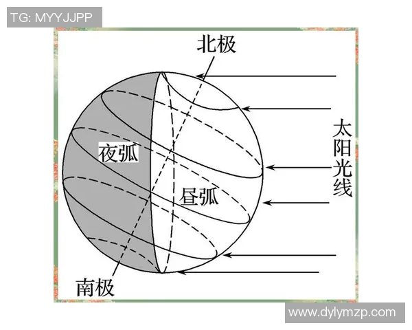 深圳排球队的节奏解析:深度探讨排球战术与团队协作的奥秘