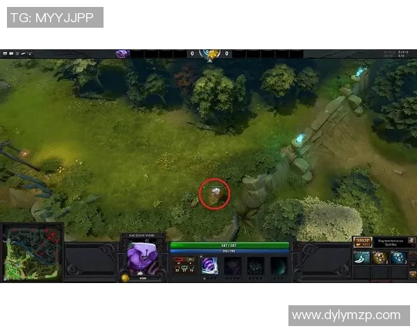BLG在DOTA2比赛中的区域防守策略分析与成效评估